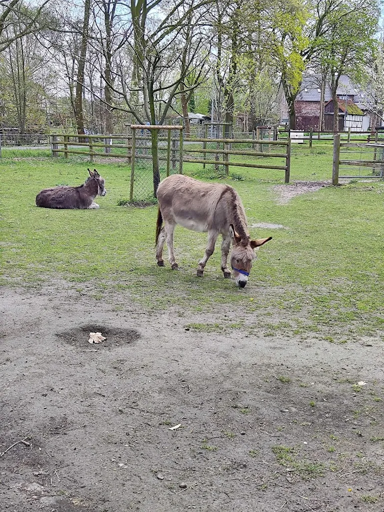 Brunnenhof in der Ried - Familie Große-Streuer_Herten_slider_image_2