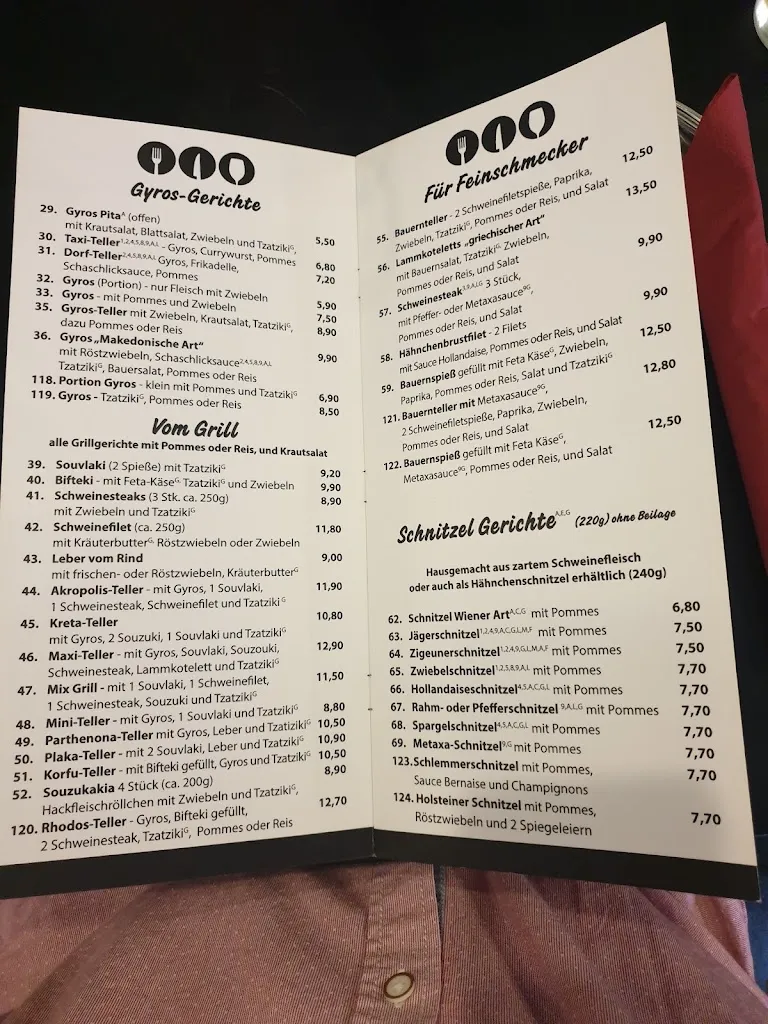 Menu_Gyros-Grill_Holzwickede_image_3