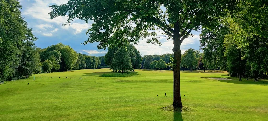 Hans-Juergen Voscort_Nossa Terra - Steinfurt_Steinfurt_reseña