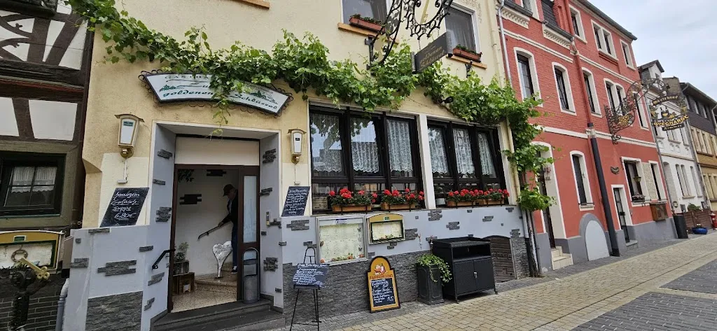 amit yadav_Zum Goldenen Schlüssel_Braubach_review