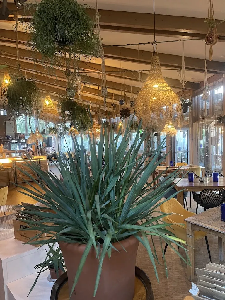 Strandgut Höxter restaurant in Höxter