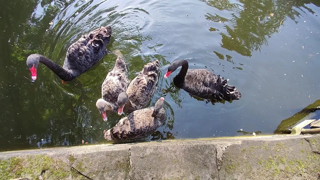 Haus Silberteich e.K._Höxter_slider_image_2