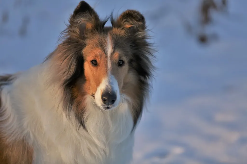 Jörg Tischler_Herkerts_Geiselbach_review