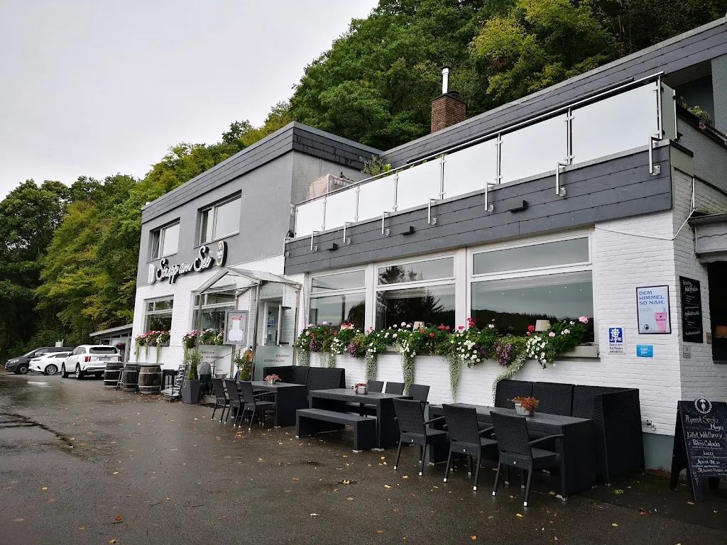 Nicoleta Cherechesiu_Café-Restaurant 