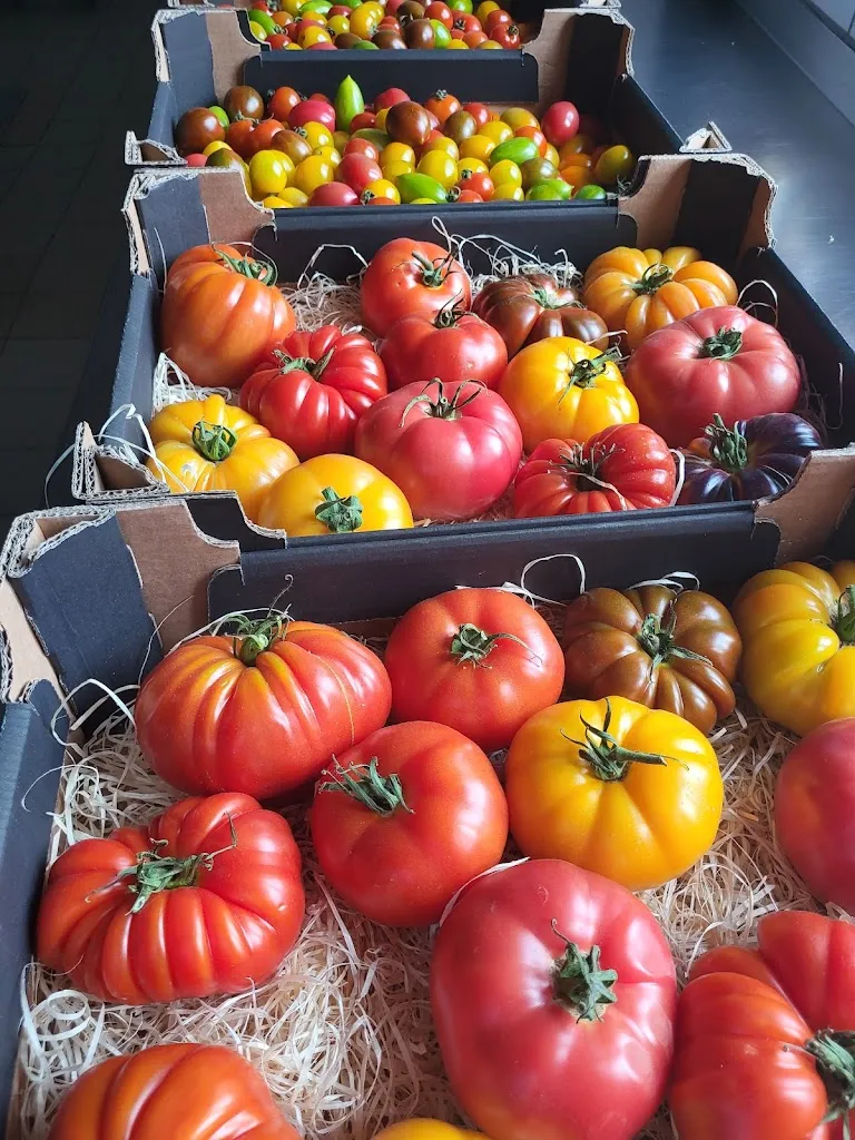 Menu_Burgrestaurant Nideggen_Nideggen_immagine_6