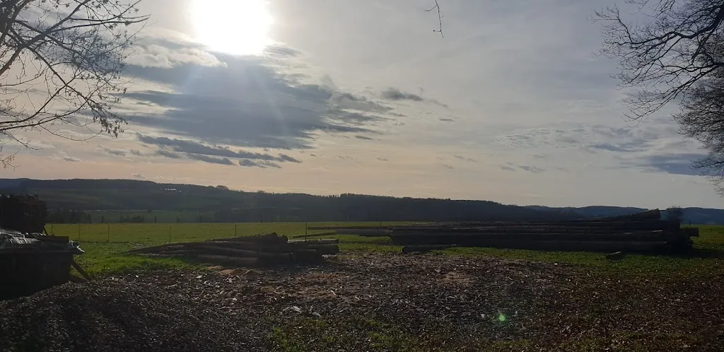 Peter Pritzkow (Pitche)_Zur Waldesruh_Geiselbach_Bewertung