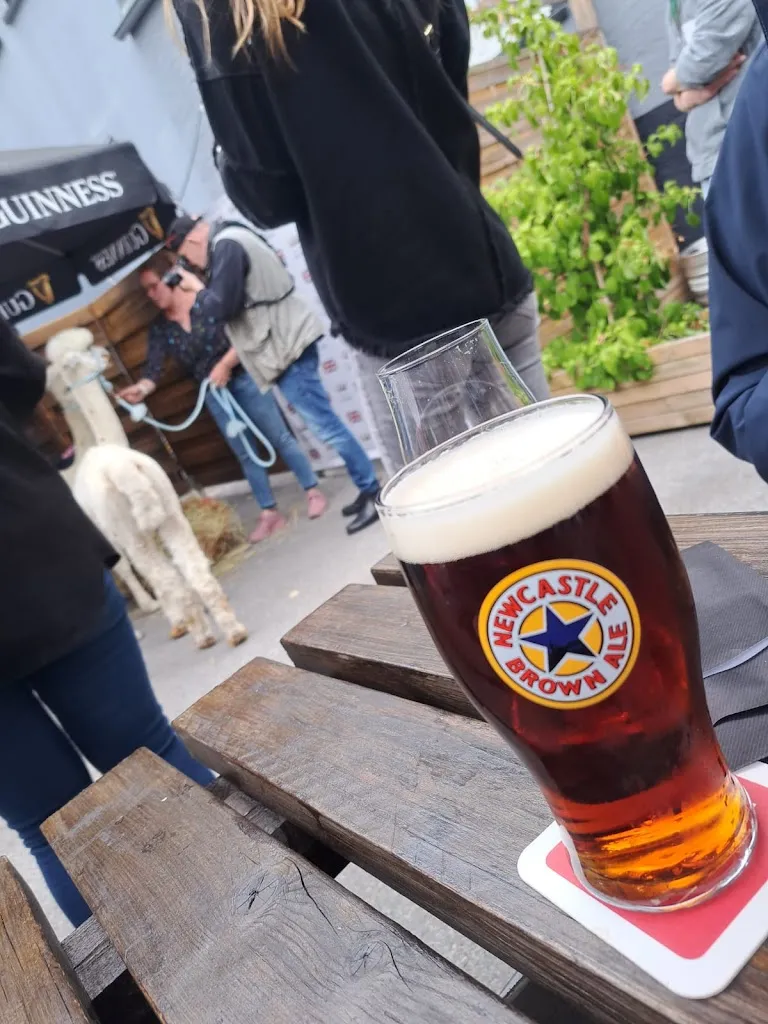 Menu_The New Crown_Iserlohn_image_6