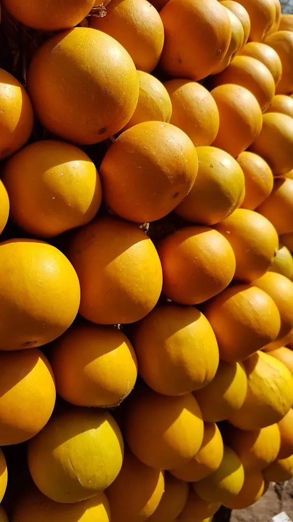 Menu_Hof Löbke GmbH & Co. KG_Ibbenbüren_immagine_6