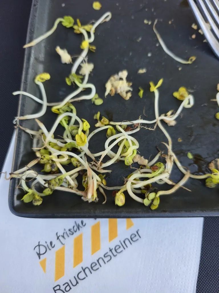 Юрий Воедило_Bakery Café Rauchensteiner_Geisenhausen_review