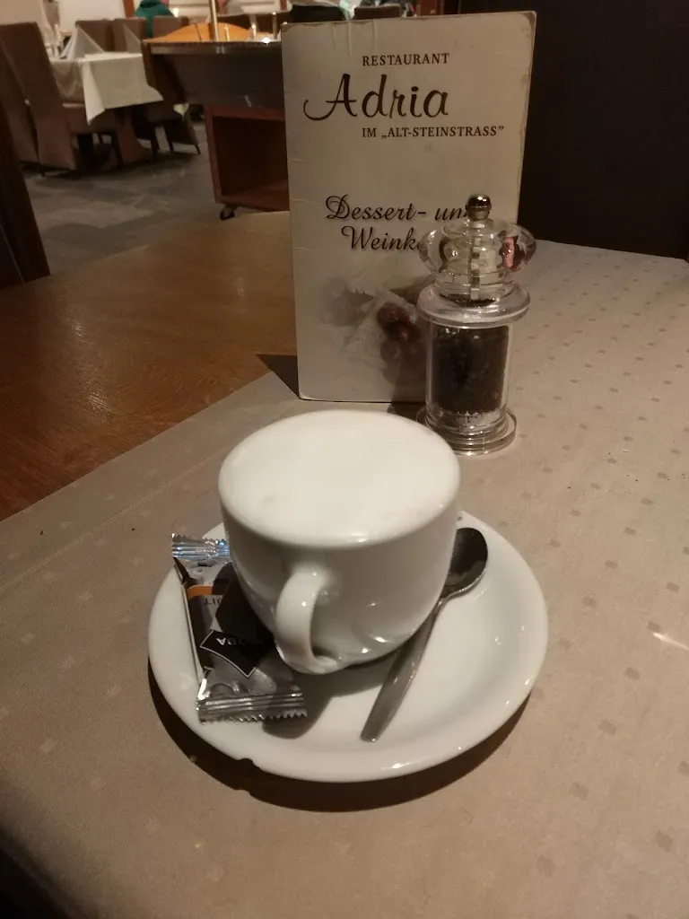 Menu_Restaurant Adria in „ Alt-Steinstrass“_Jülich_image_6