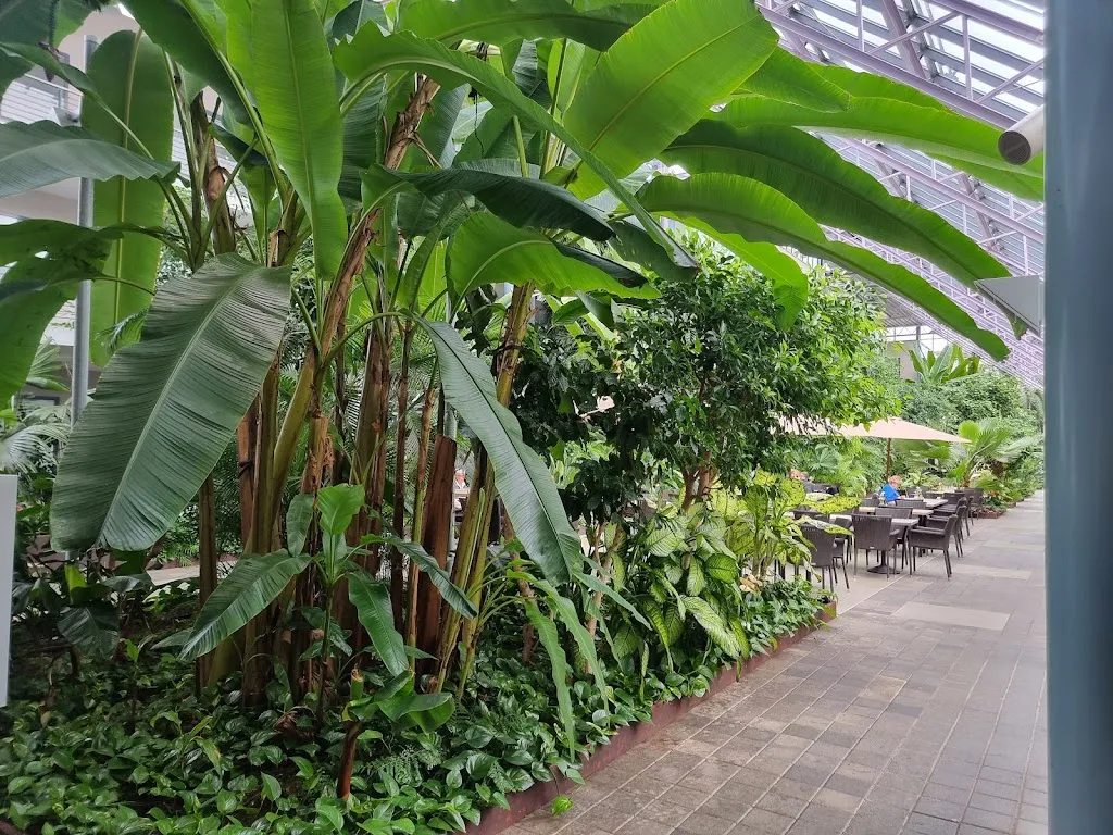 Vincents Palmengarten_Jülich_slider_image_2