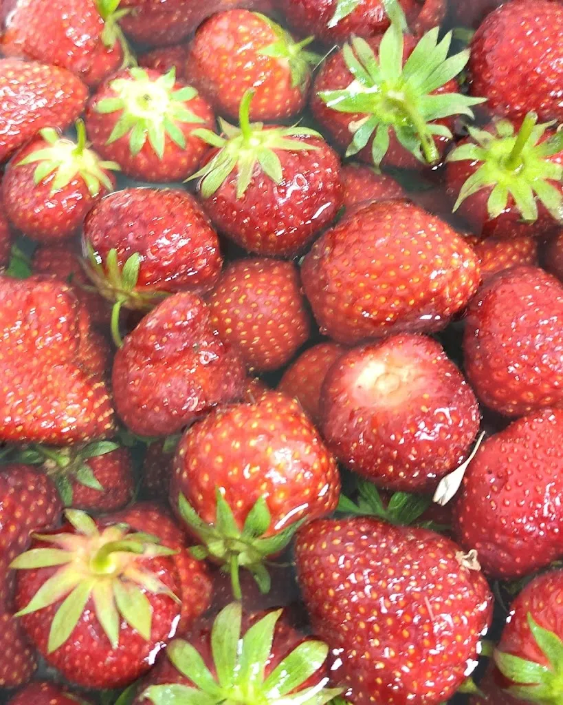 Menu_PAUL kocht gGmbH_Kaarst_image_2