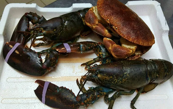 Trattoria Gigante Neuss_Neuss_slider_image_3