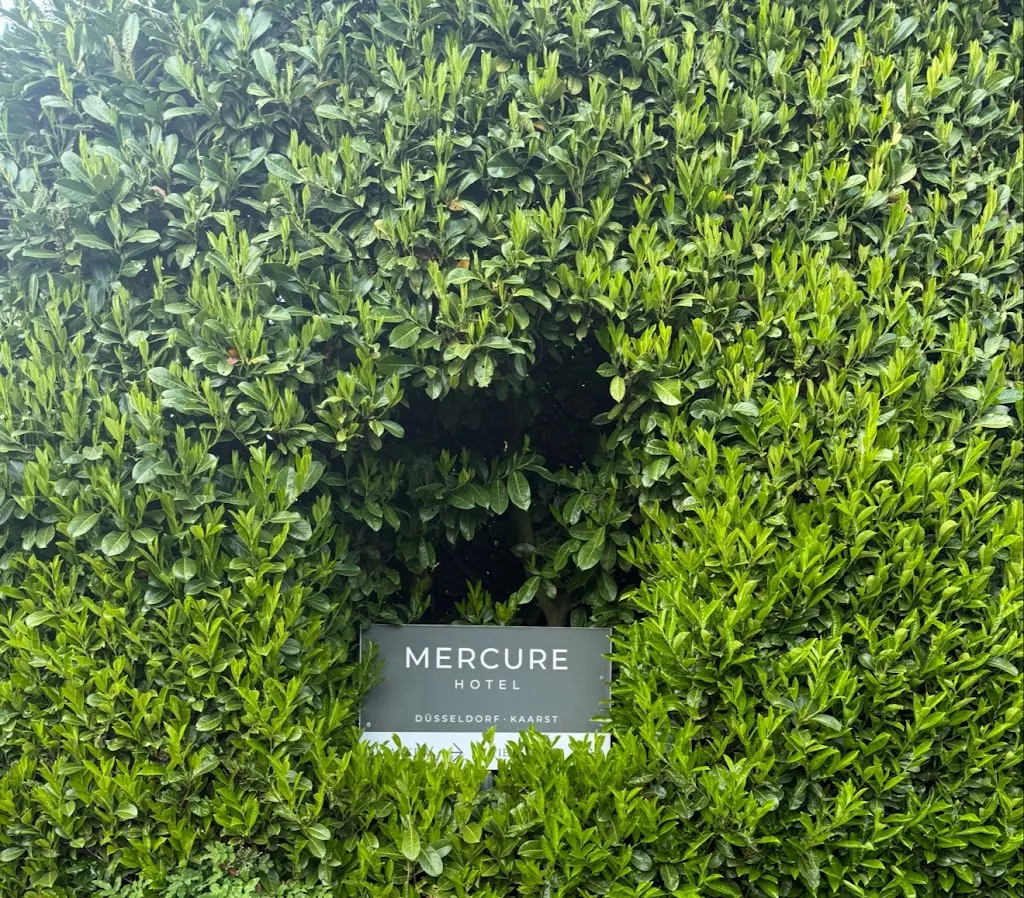 SayedAhmed Almosawi_Mercure Hotel Duesseldorf Kaarst_Kaarst_review