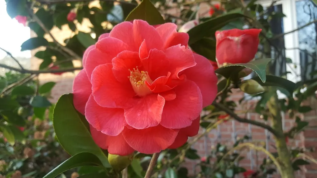 Hermkes Bur_Neuss_slider_image_3