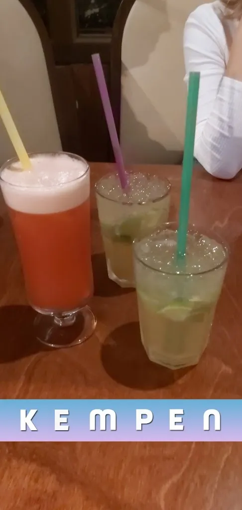 Menu_Rodozio Sol Brazil_Kempen_image_9