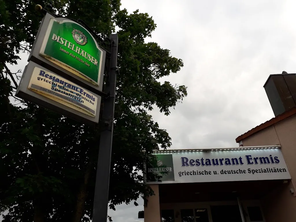 Claudia Ayala_Ermis Restaurant and Delivery Service_Gerbrunn_review