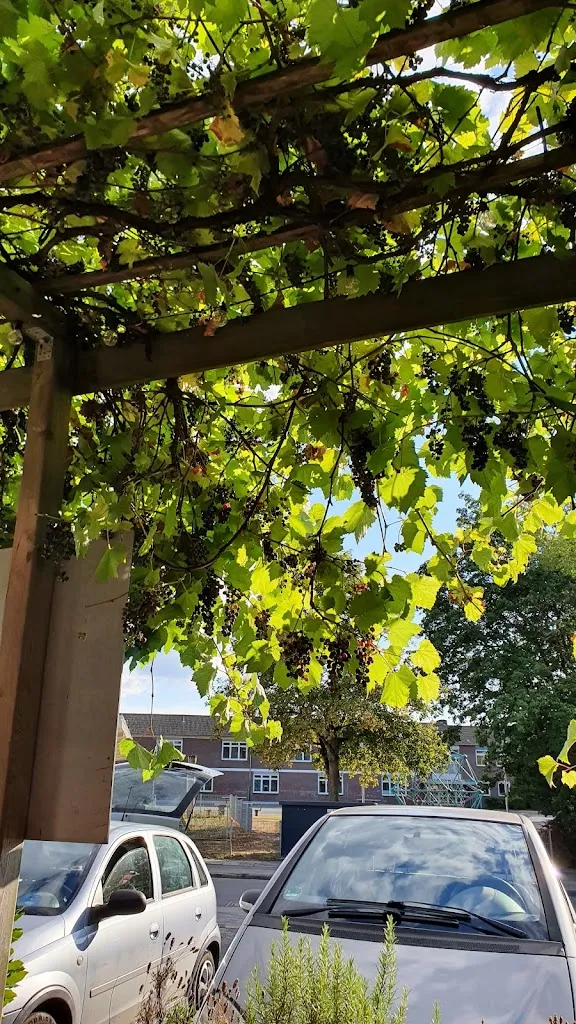 Anne Bahr_Pizzeria bei Nino_Kamp-Lintfort_review