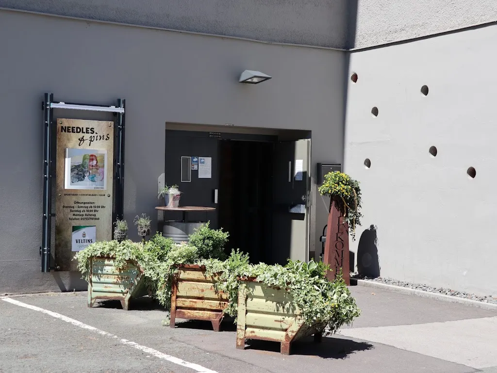 Needles and pins restaurant in Lennestadt