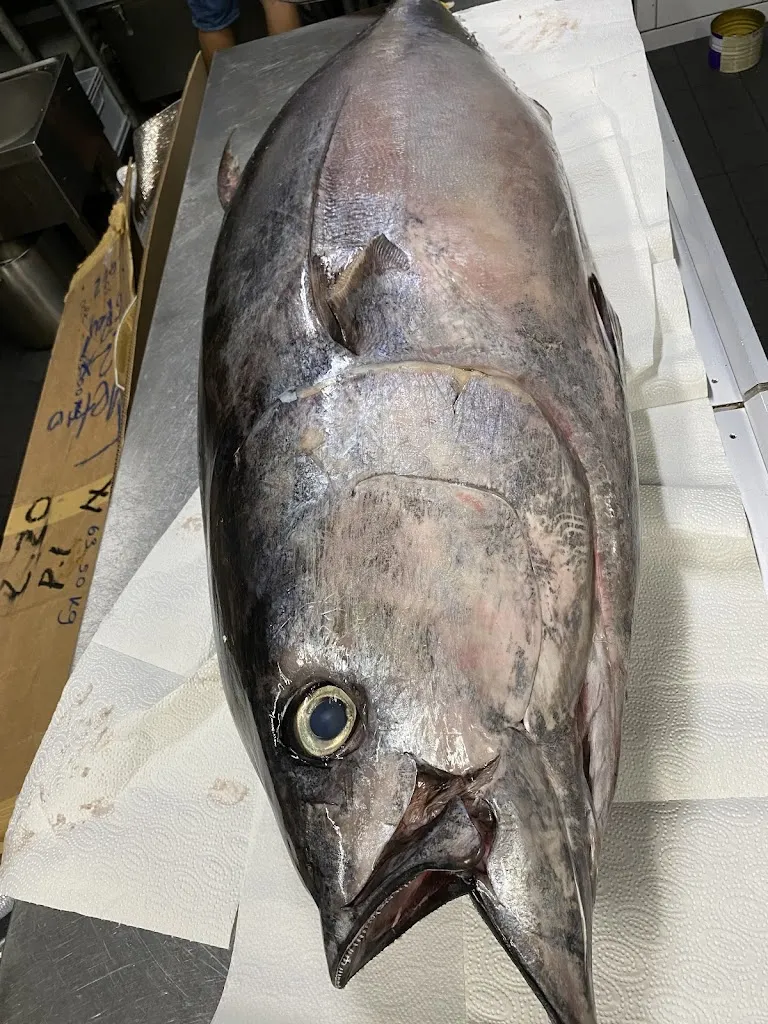 Momi_Kleve_slider_image_3