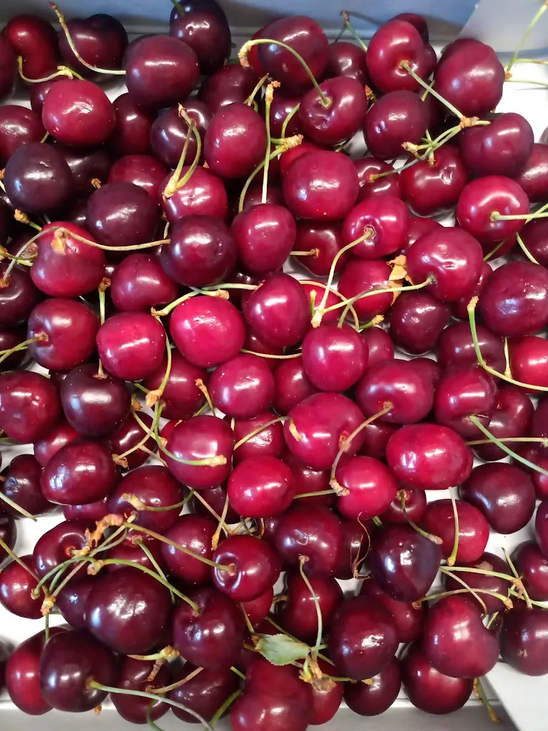 Menu_Das Gasthaus am Reichswald_Kranenburg_image_8