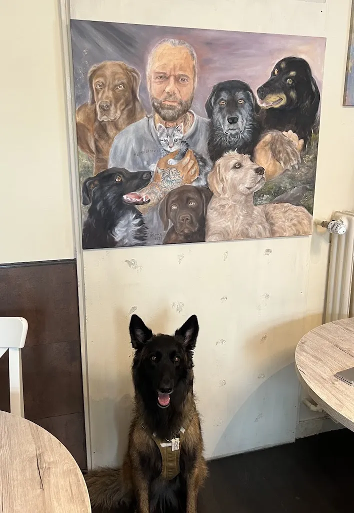 Heyke Schulz_Helden Vegan Bistro_Kranenburg_review