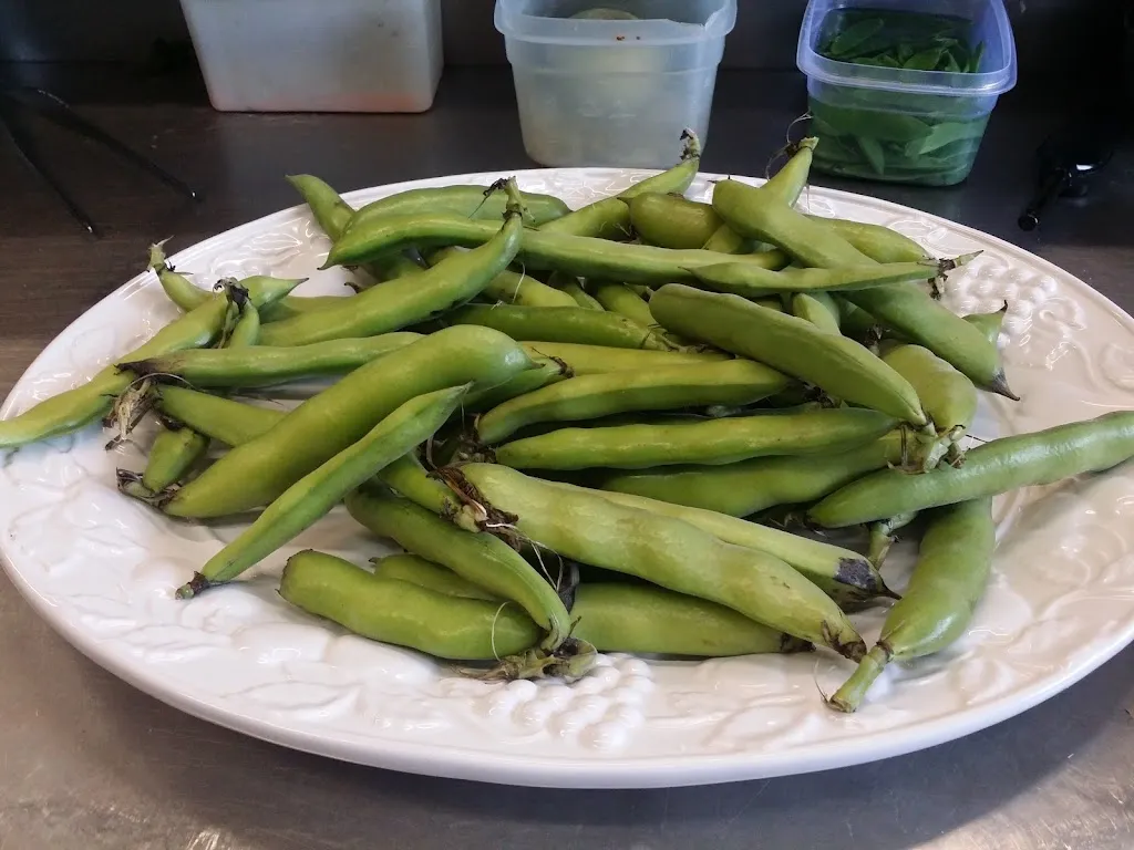 Menü_Ristorante Maruzzella_Königswinter_Bild_5