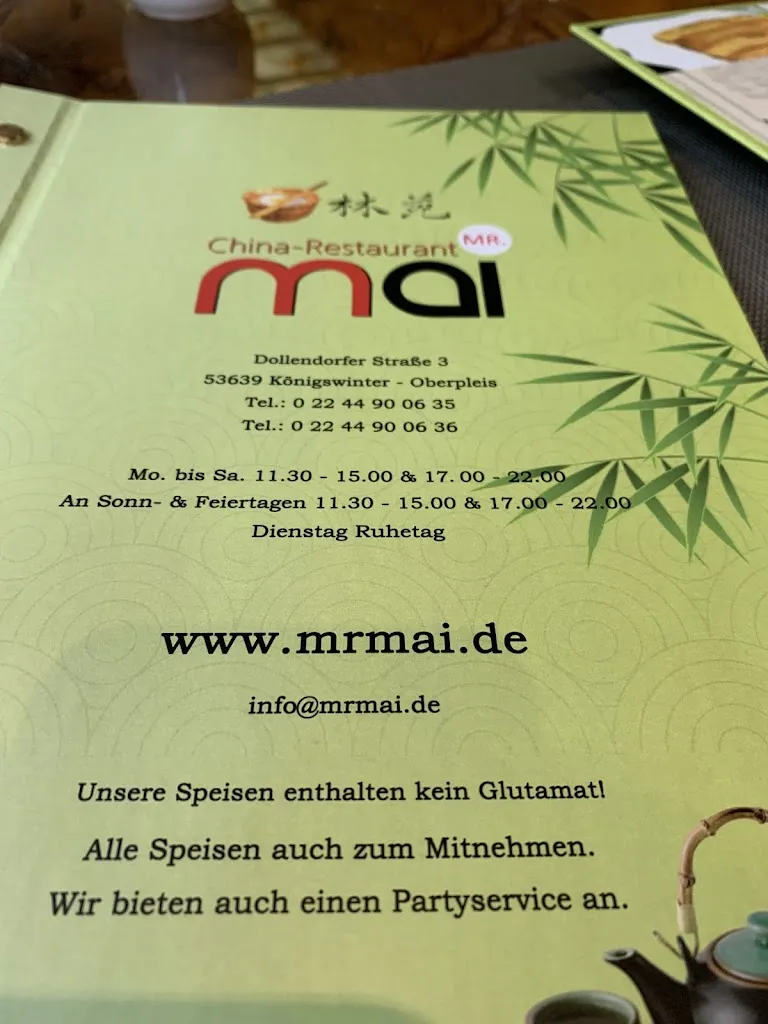 Menü_Mr. Mai China Restaurant_Königswinter_Bild_3