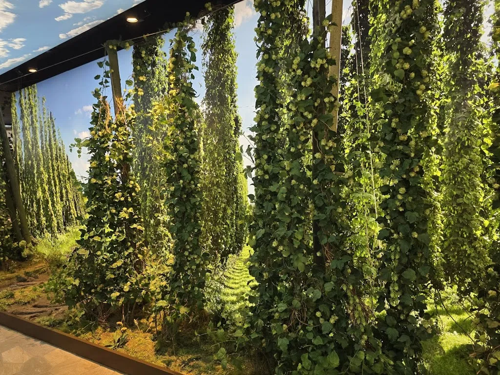 Krombacher Erlebniswelt_Kreuztal_slider_image_3