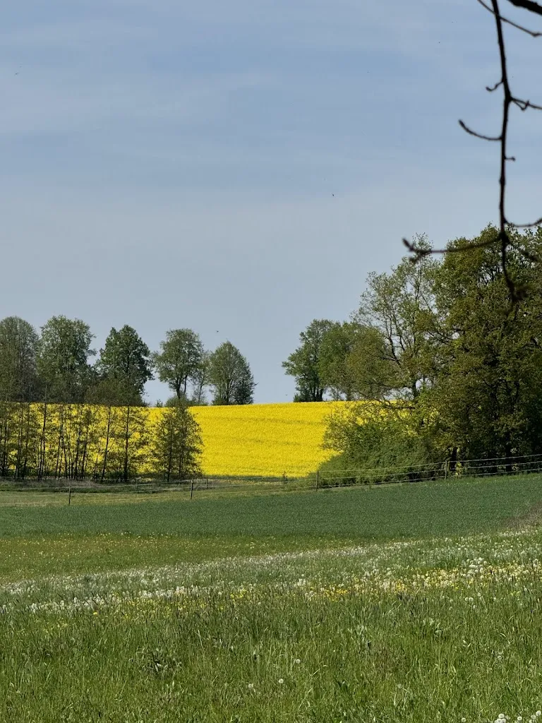 Michele Santos_Golf Park Gerolsbach_Gerolsbach_review