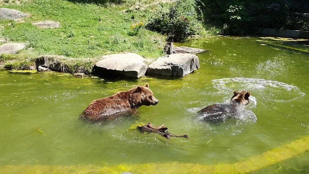 Langenberg_Albis_slider_image_2