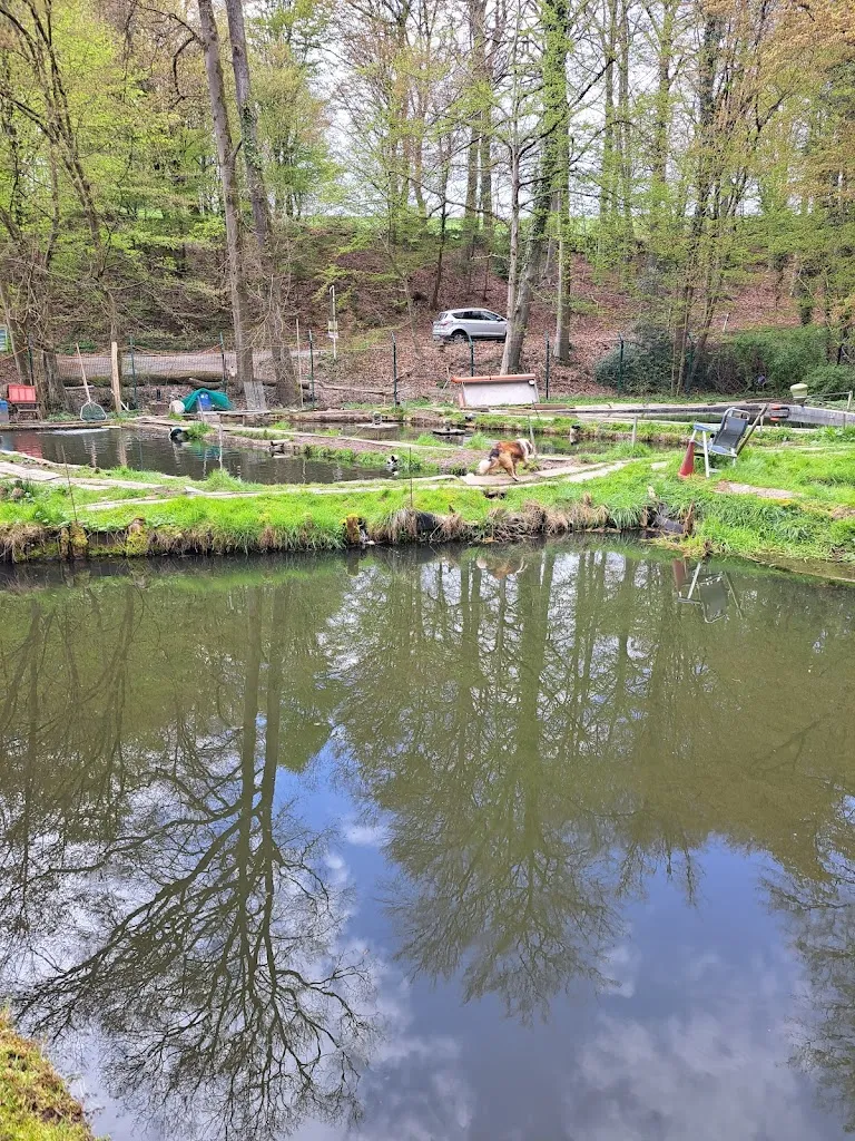 Abrahams-Forellen restaurant in (Rheinland)
