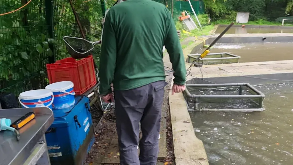 Abrahams-Forellen__slider_image_2