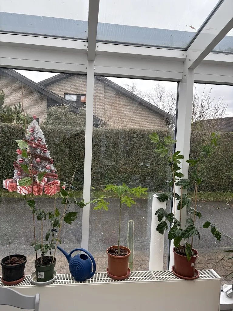 Markus Mittermüller_Restaurant Vinnen_Leopoldshöhe_review