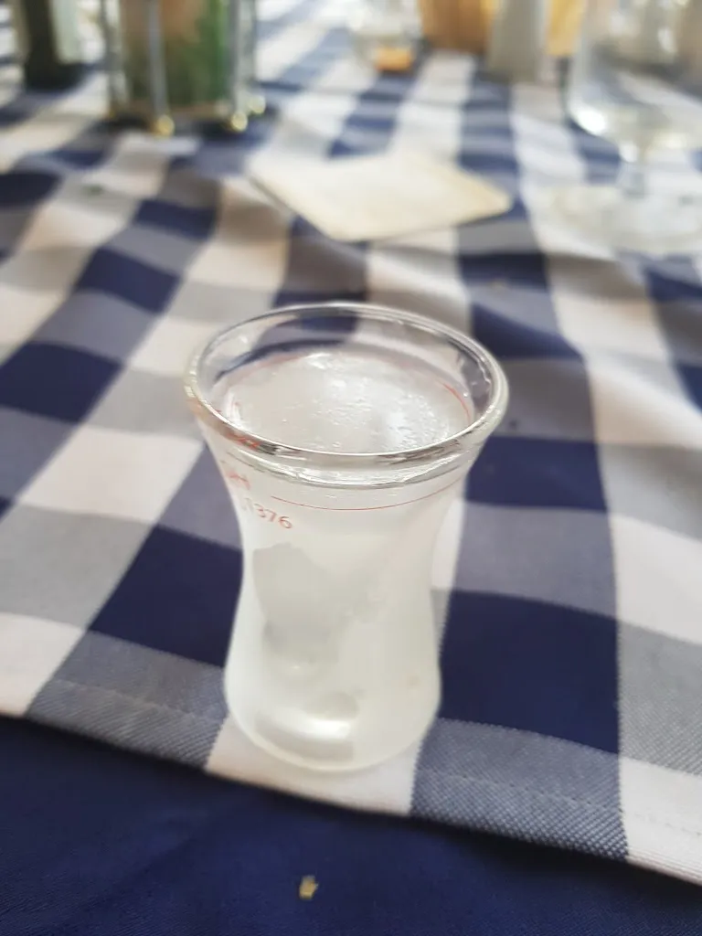 Menu_Griechisches Restaurant Dionysos__image_6