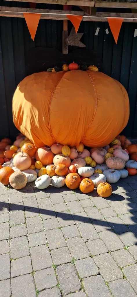 Menü_Krewelshof Lohmar_Lohmar_Bild_8