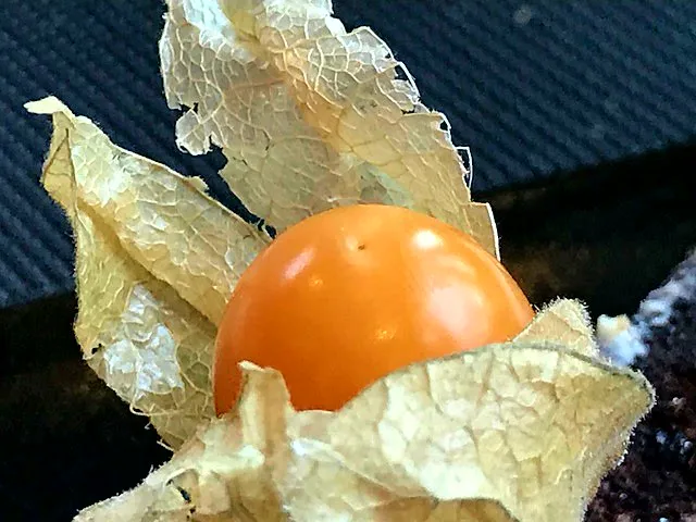 Menu_Ristorante Peperoncino | Italienisches Restaurant | Leverkusen_Leverkusen_image_7