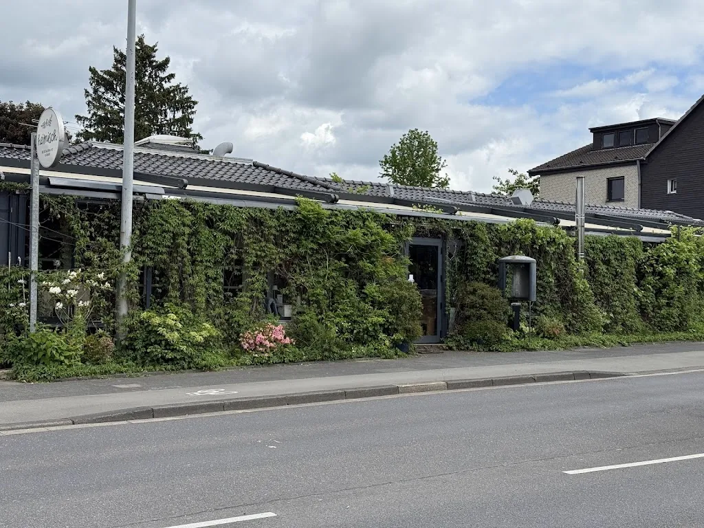 Dimitri Wolf_heimisch_Leverkusen_review