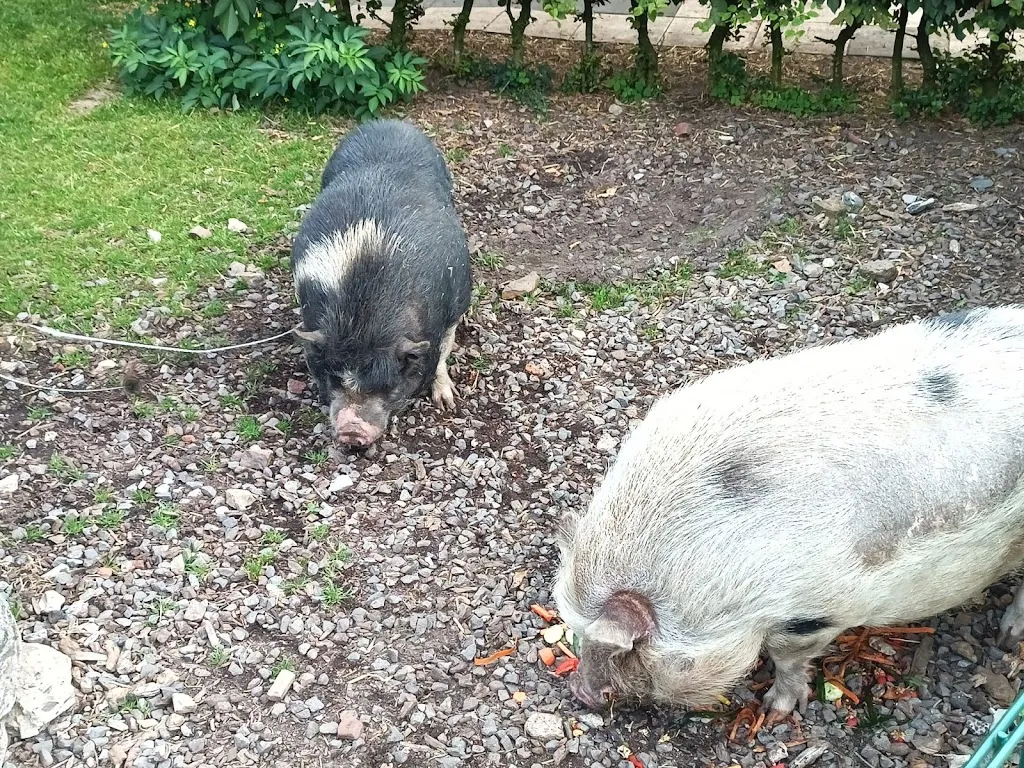 Kristina Loehr_Landcafé am Goldbach_Lotte_review