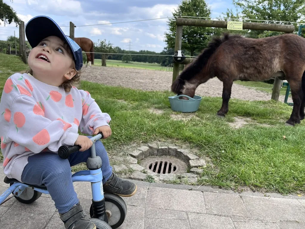 Roxana Habib_Landcafé am Goldbach_Lotte_review