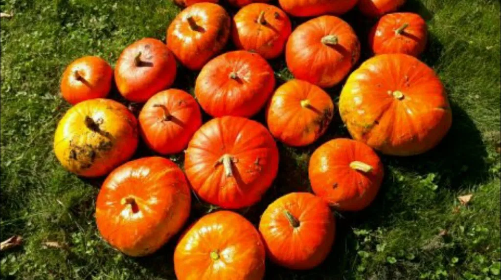 Altes Gasthaus Voss_Lippstadt_slider_image_2