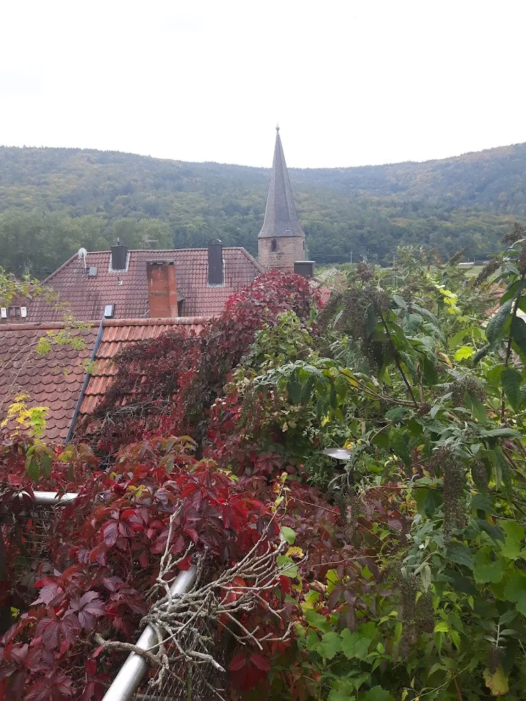 Pizzeria Piccolo_Main_slider_image_2