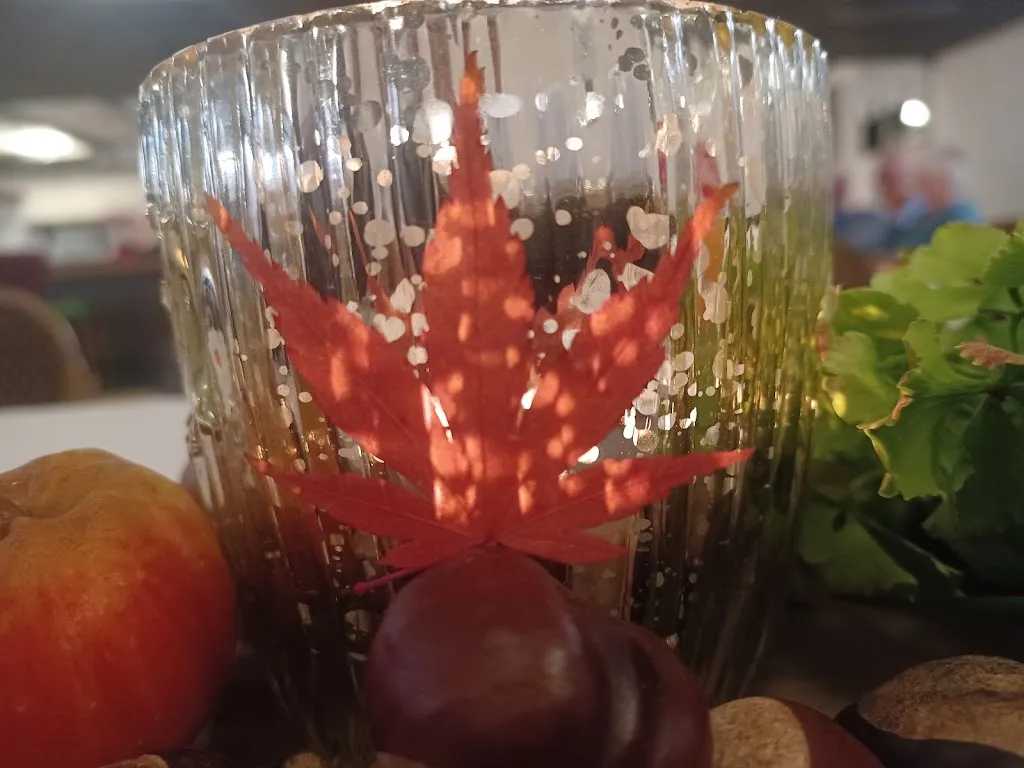 Menu_Schierbrucher Krug_Lügde_image_7