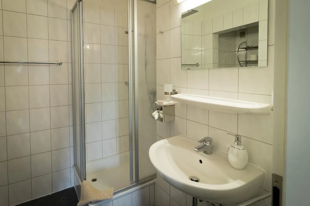 Hotel Medebach - Zum Schwanenkönig_Medebach_slider_image_2