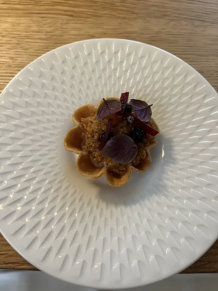 Lia_bi:braud_Ulm_review