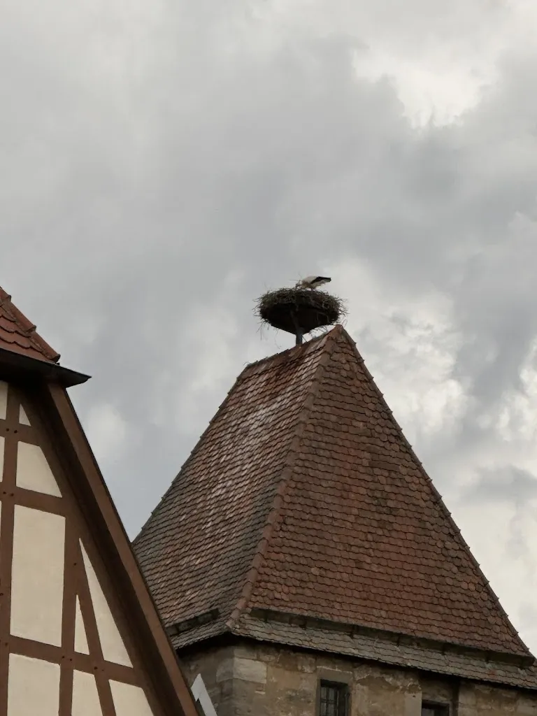 Amy Hart_Restaurant Alter Keller_Tauber_review