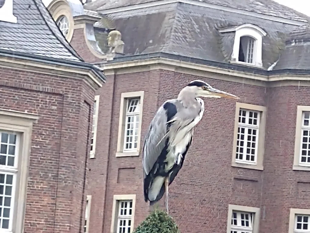 Lyndhurst_Schloss Nordkirchen_Nordkirchen_review