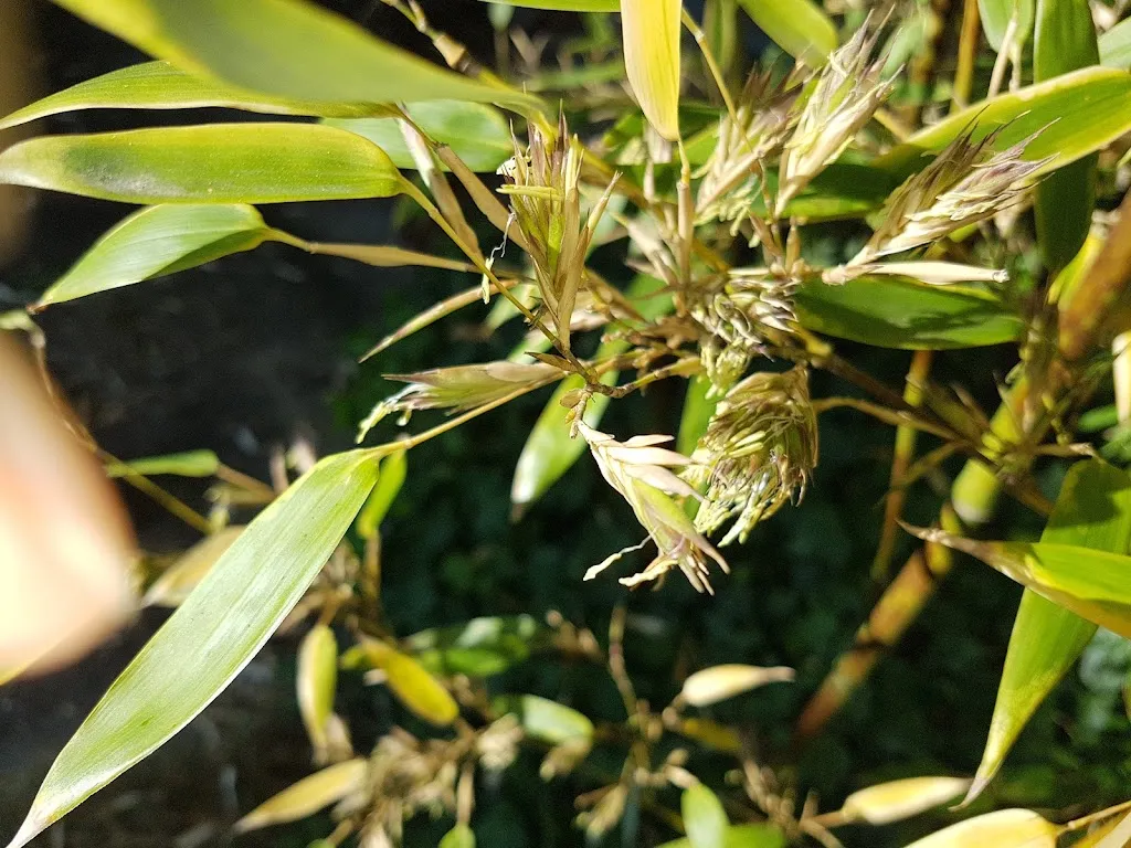 Restaurant Altenberger Hof_Odenthal_slider_image_2