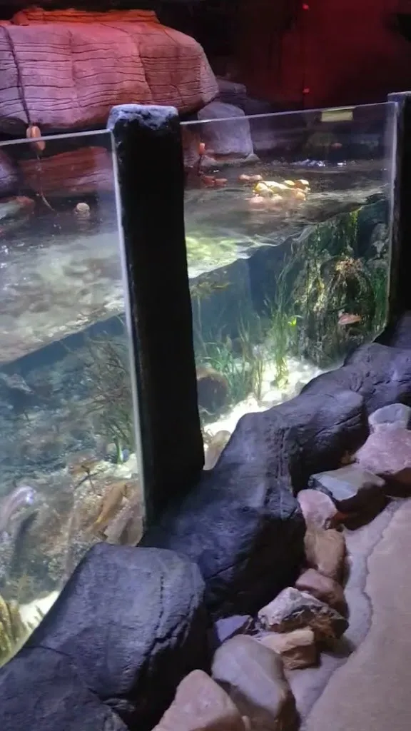 Maria Pires_SEA LIFE Oberhausen_Oberhausen_review