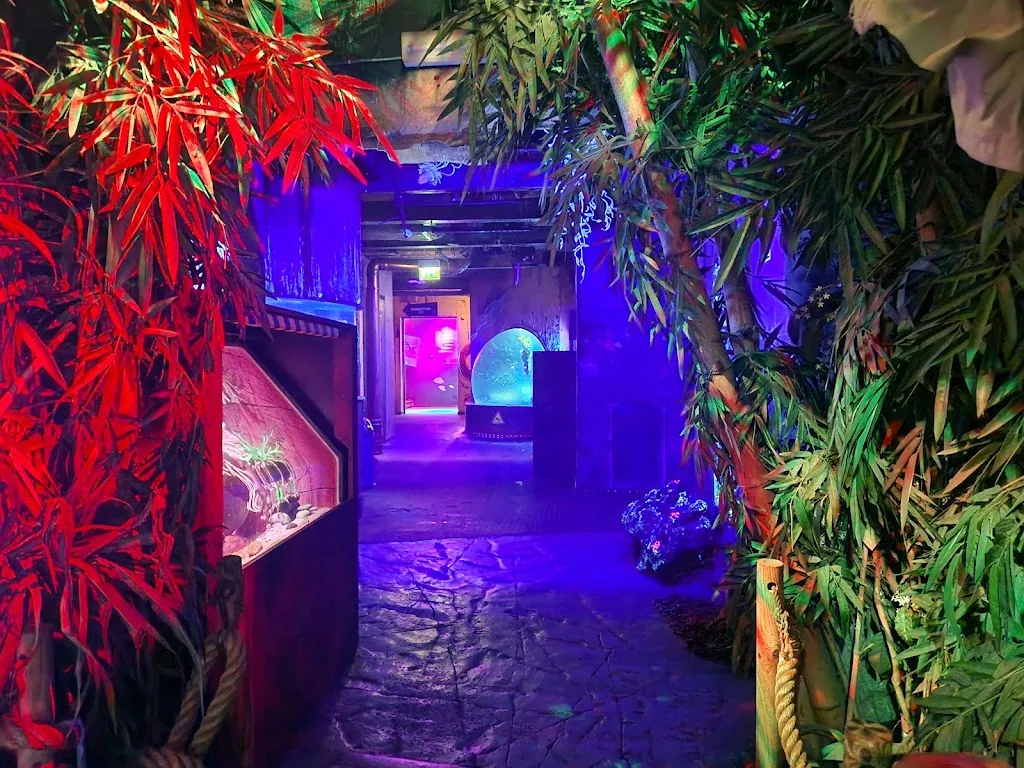 Kimberly Tanith Marie_SEA LIFE Oberhausen_Oberhausen_review